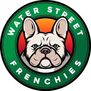 Meet your Posher, Alfredo